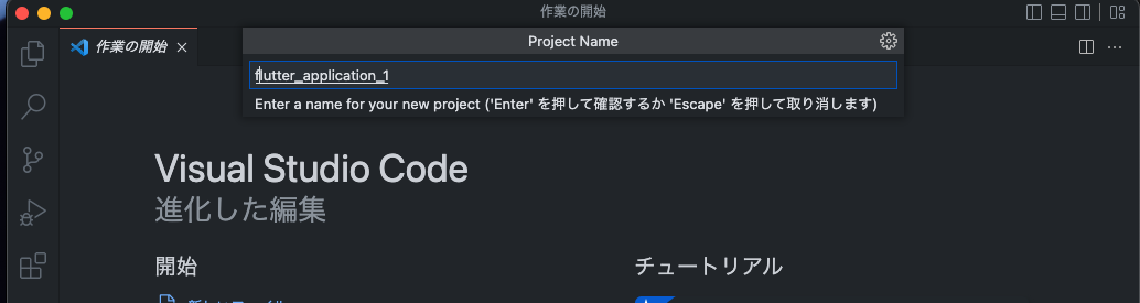 vscodeのflutterプロジェクト名作成画像